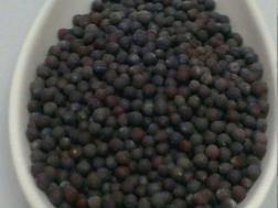 Picture of : Mustard Seed (Rai/Sarso) Secret Indian Recipe